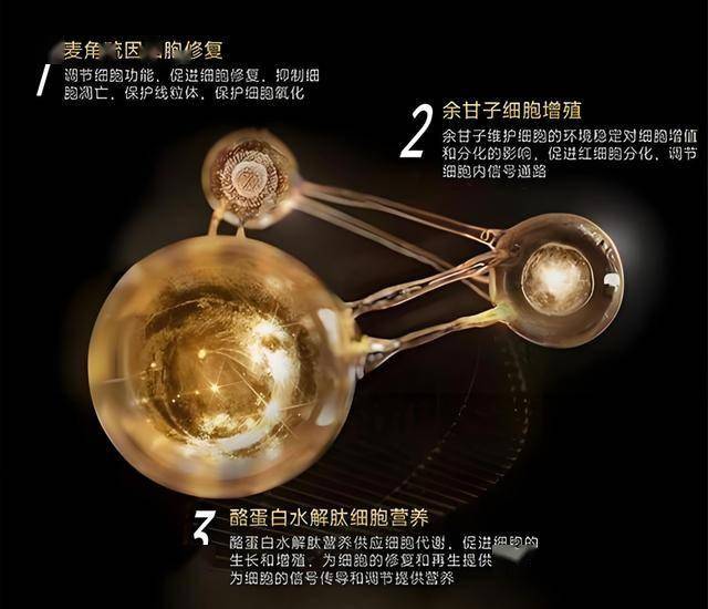 外汇ex平台靠谱吗时间循环回合制方针游戏《永不落败》 现已发布PC端抢先体验版！